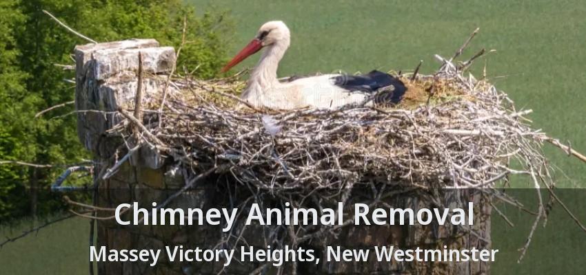 Chimney Animal Removal Massey Victory Heights, New Westminster - BC