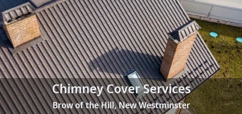 Chimney Cover Services Brow of the Hill, New Westminster - BC
