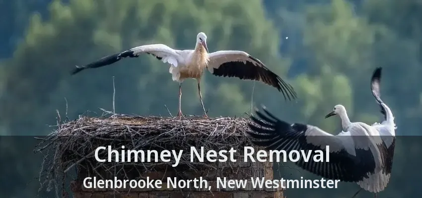 Chimney Nest Removal Glenbrooke North, New Westminster - BC