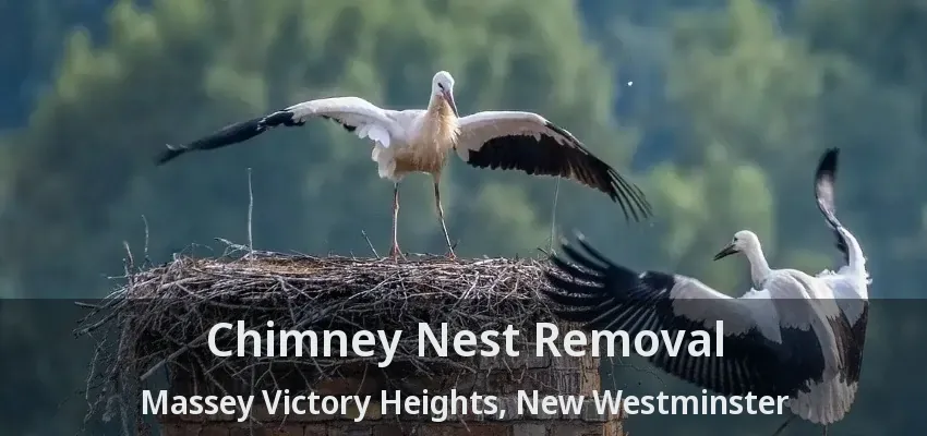 Chimney Nest Removal Massey Victory Heights, New Westminster - BC
