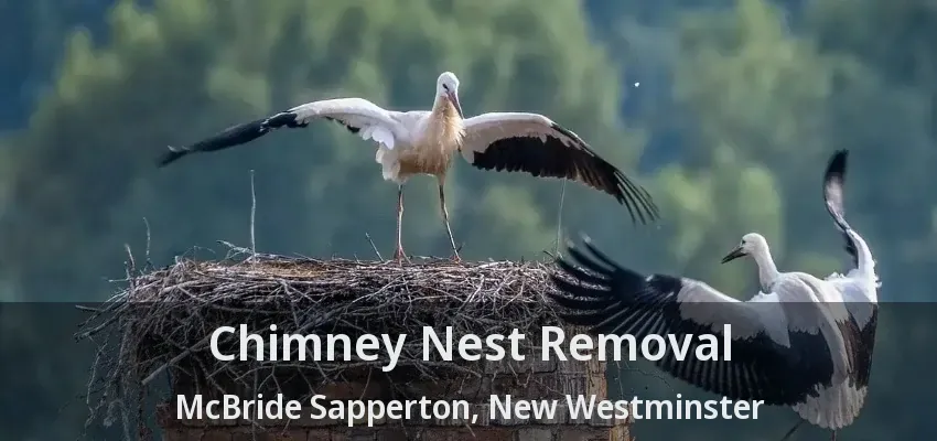 Chimney Nest Removal McBride Sapperton, New Westminster - BC