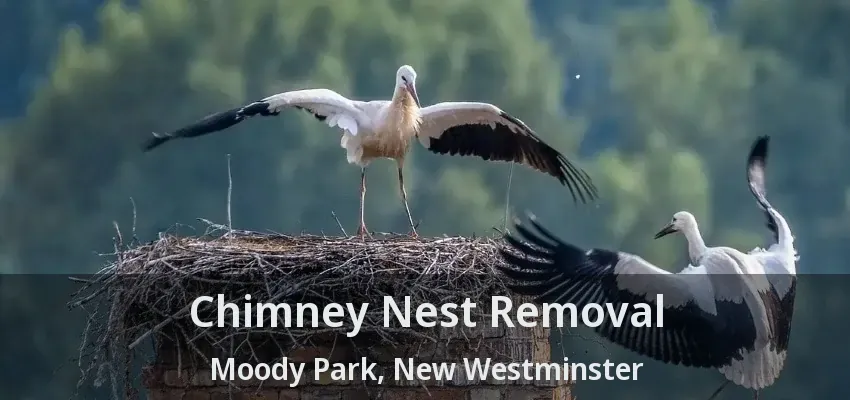 Chimney Nest Removal Moody Park, New Westminster - BC