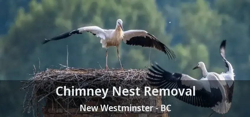 Chimney Nest Removal New Westminster - BC