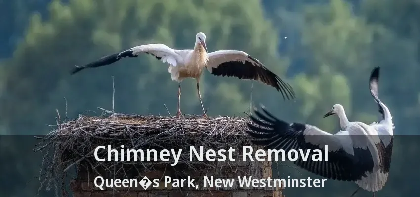 Chimney Nest Removal Queen�s Park, New Westminster - BC