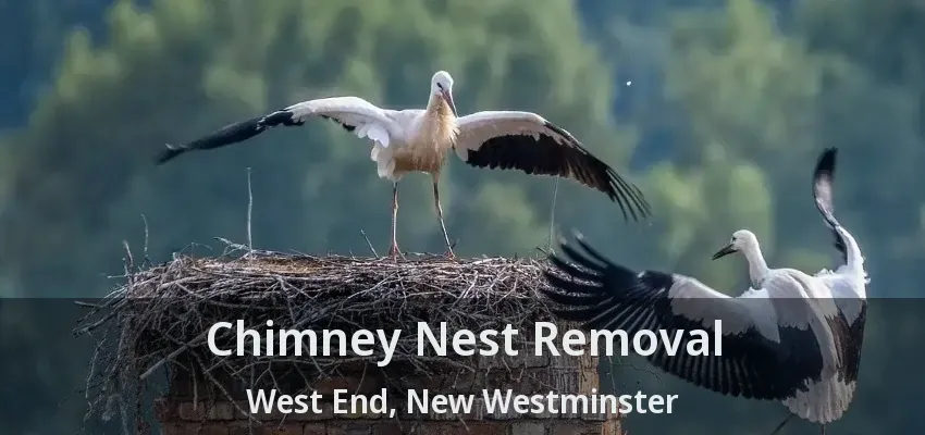 Chimney Nest Removal West End, New Westminster - BC