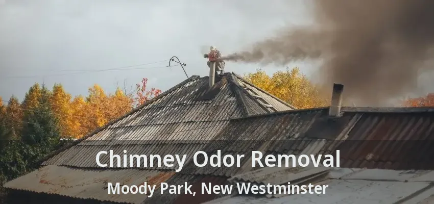Chimney Odor Removal Moody Park, New Westminster - BC