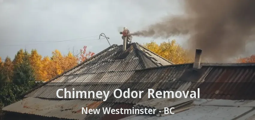 Chimney Odor Removal New Westminster - BC