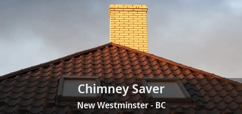 Chimney Saver New Westminster - BC