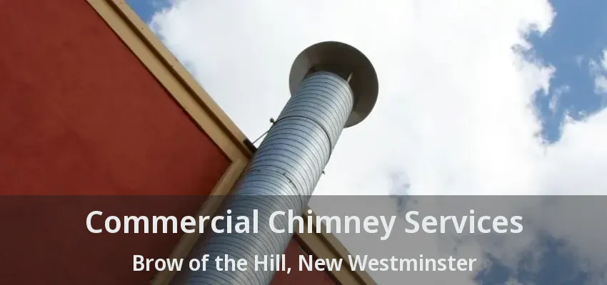 Commercial Chimney Services Brow of the Hill, New Westminster - BC