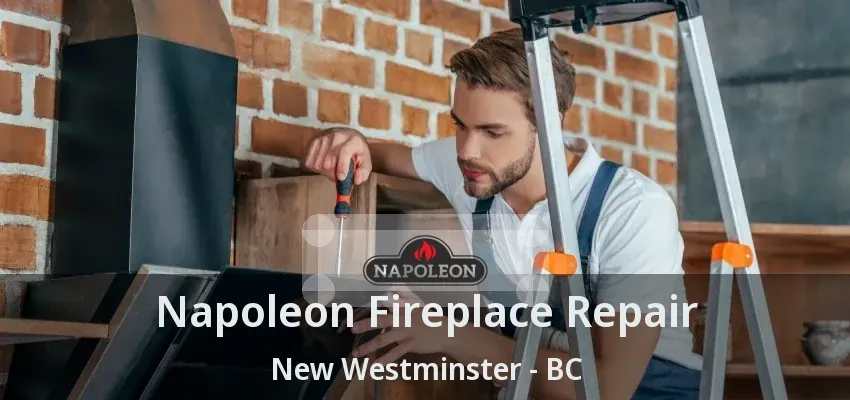 Napoleon Fireplace Repair New Westminster - BC