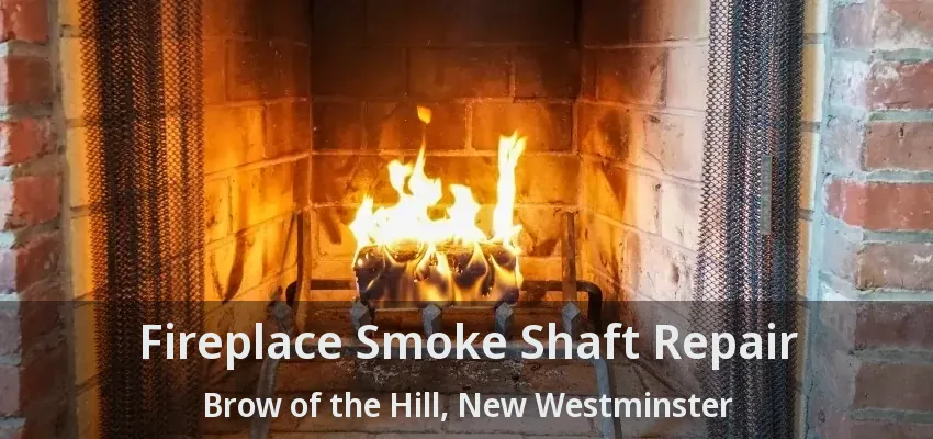 Fireplace Smoke Shaft Repair Brow of the Hill, New Westminster - BC