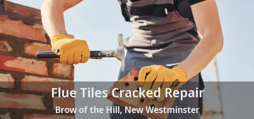 Flue Tiles Cracked Repair Brow of the Hill, New Westminster - BC