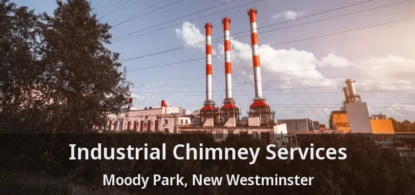 Industrial Chimney Services Moody Park, New Westminster - BC