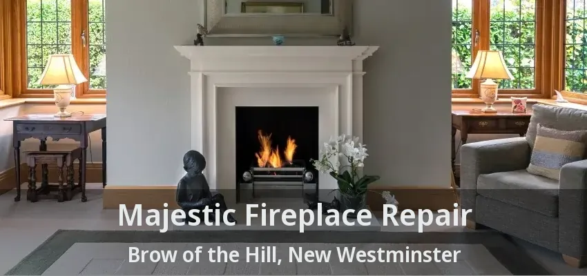 Majestic Fireplace Repair Brow of the Hill, New Westminster - BC